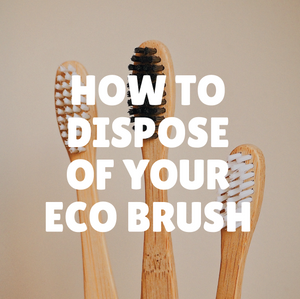 How to Dipose your Bamboo Toothbrush!