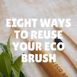 8 Ways to Reuse Your Eco Brush